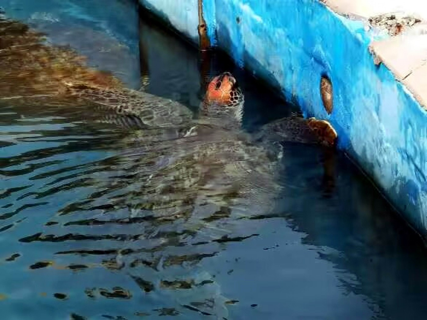 ������С psc (30).jpg