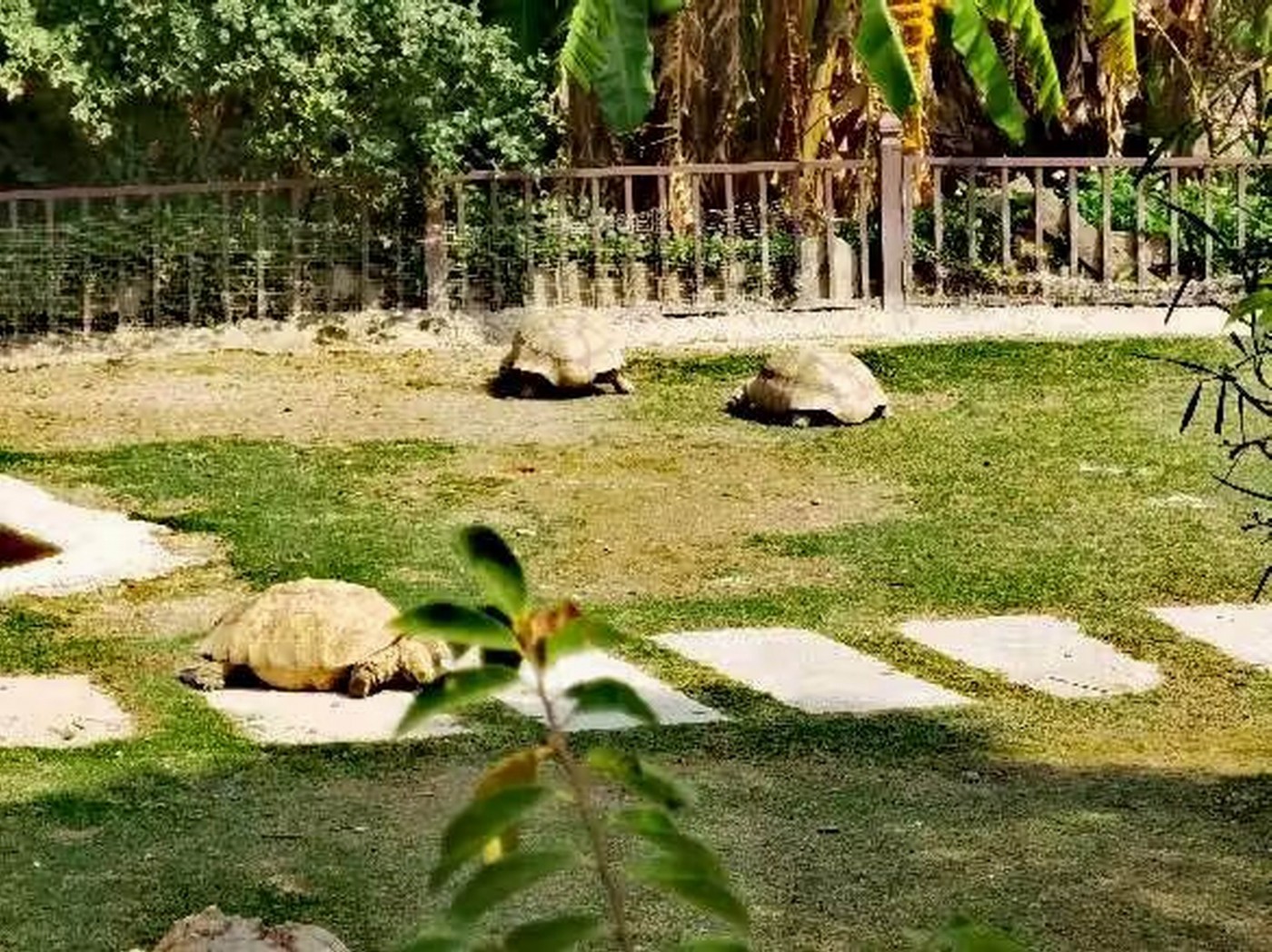 ������С psc (13).jpg