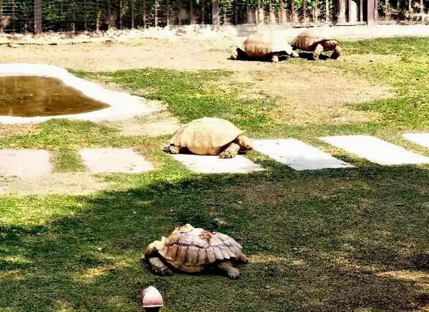 ������С psc (9).jpg