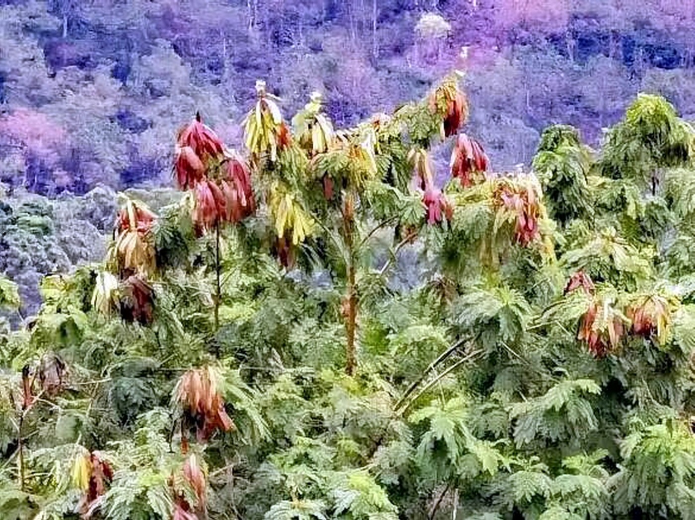 ������С psc (20).jpg