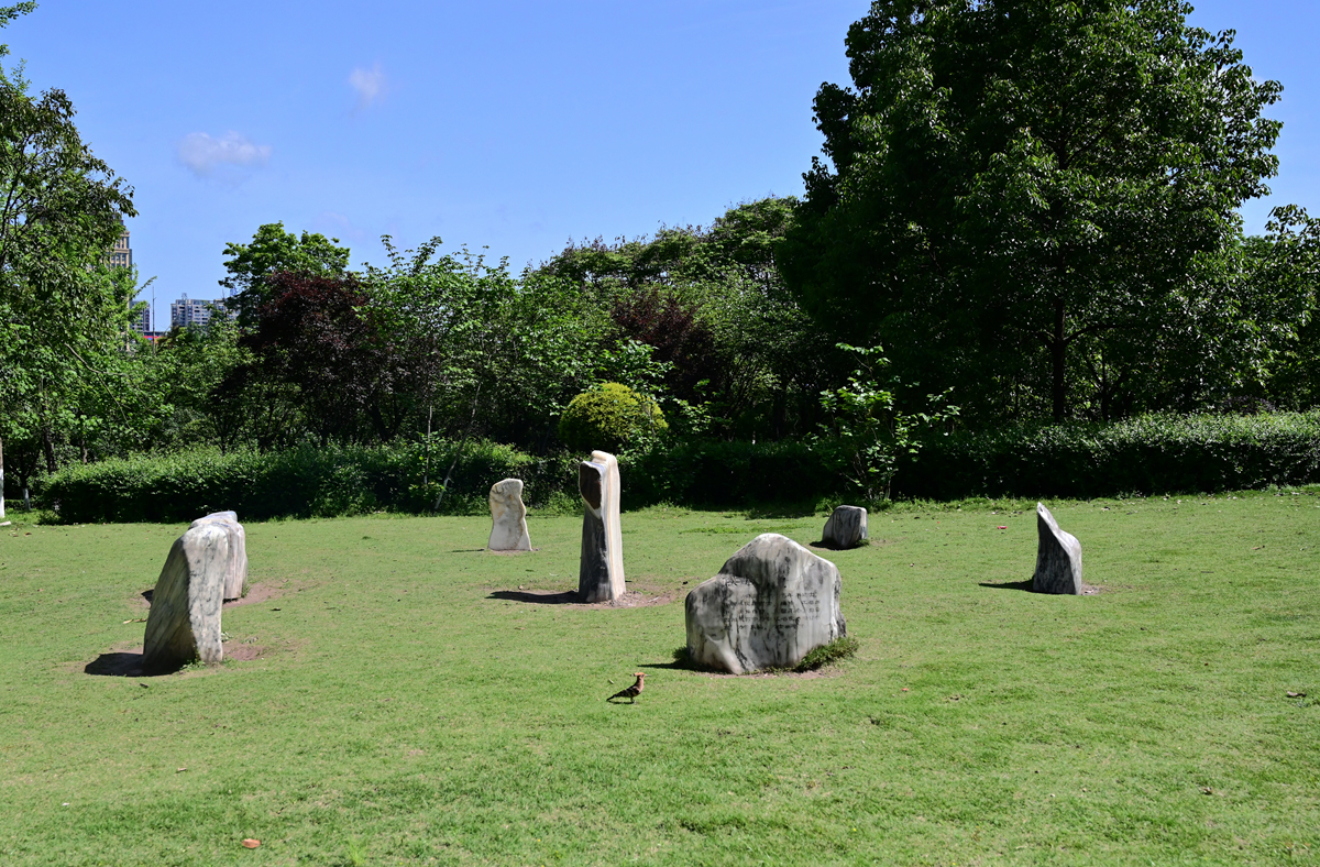 DSC_2246_����.jpg