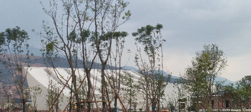 IMG20260420161401.jpg