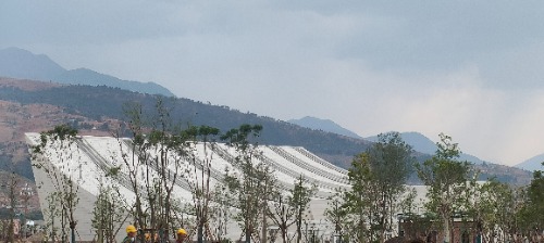 IMG20260420161231.jpg