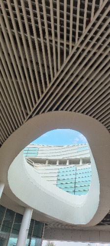 IMG20260420160105.jpg
