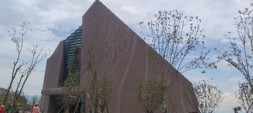 IMG20260420160607.jpg