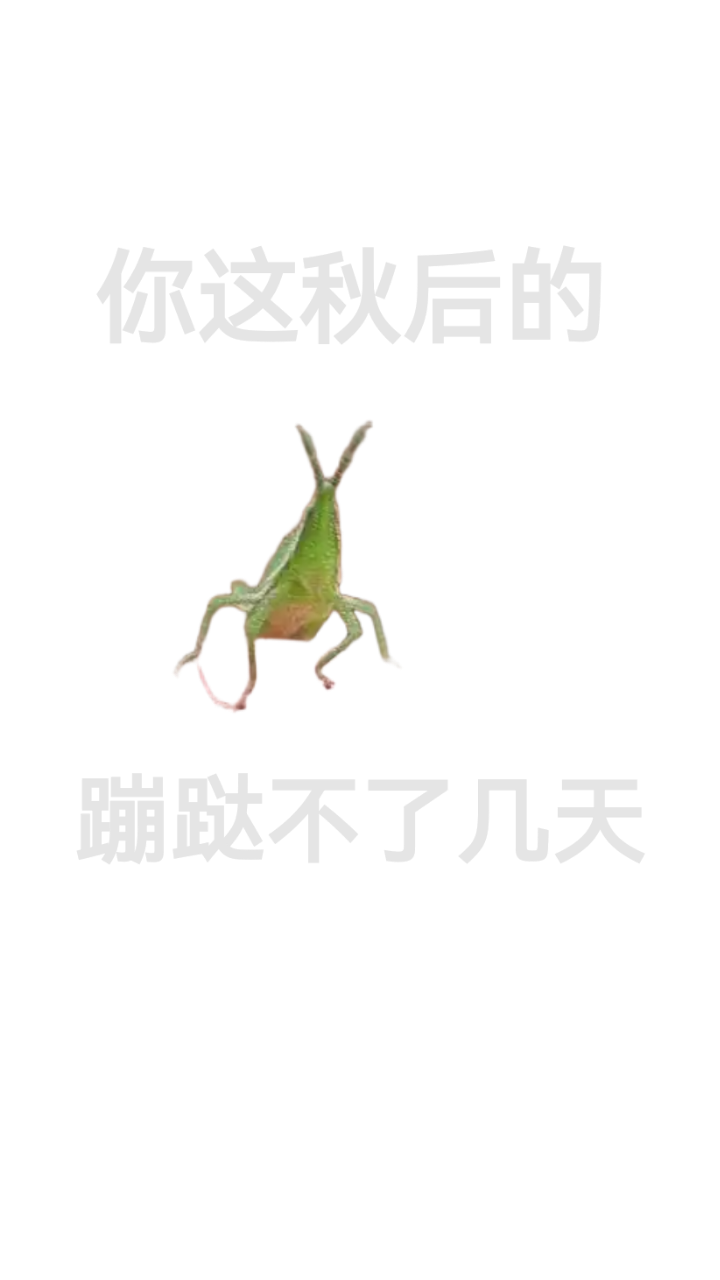 20260421215603front2_0_7624164_ForXKPJldhIS05v_dSvOnnwJL7zT.png