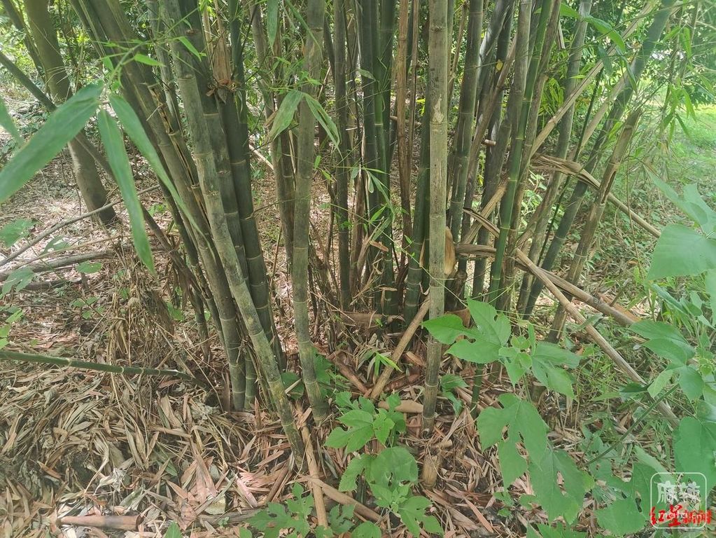 9922720e0cf3d7caf4049a8991d501066963a9bd.jpeg@f_auto