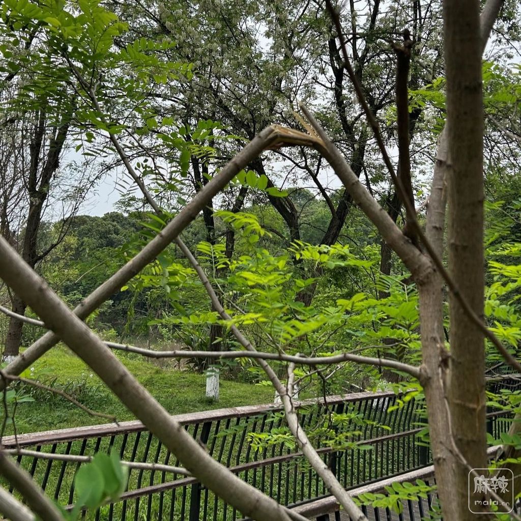 bd3eb13533fa828b7ec54721a496d125950a5aad.jpeg@f_auto