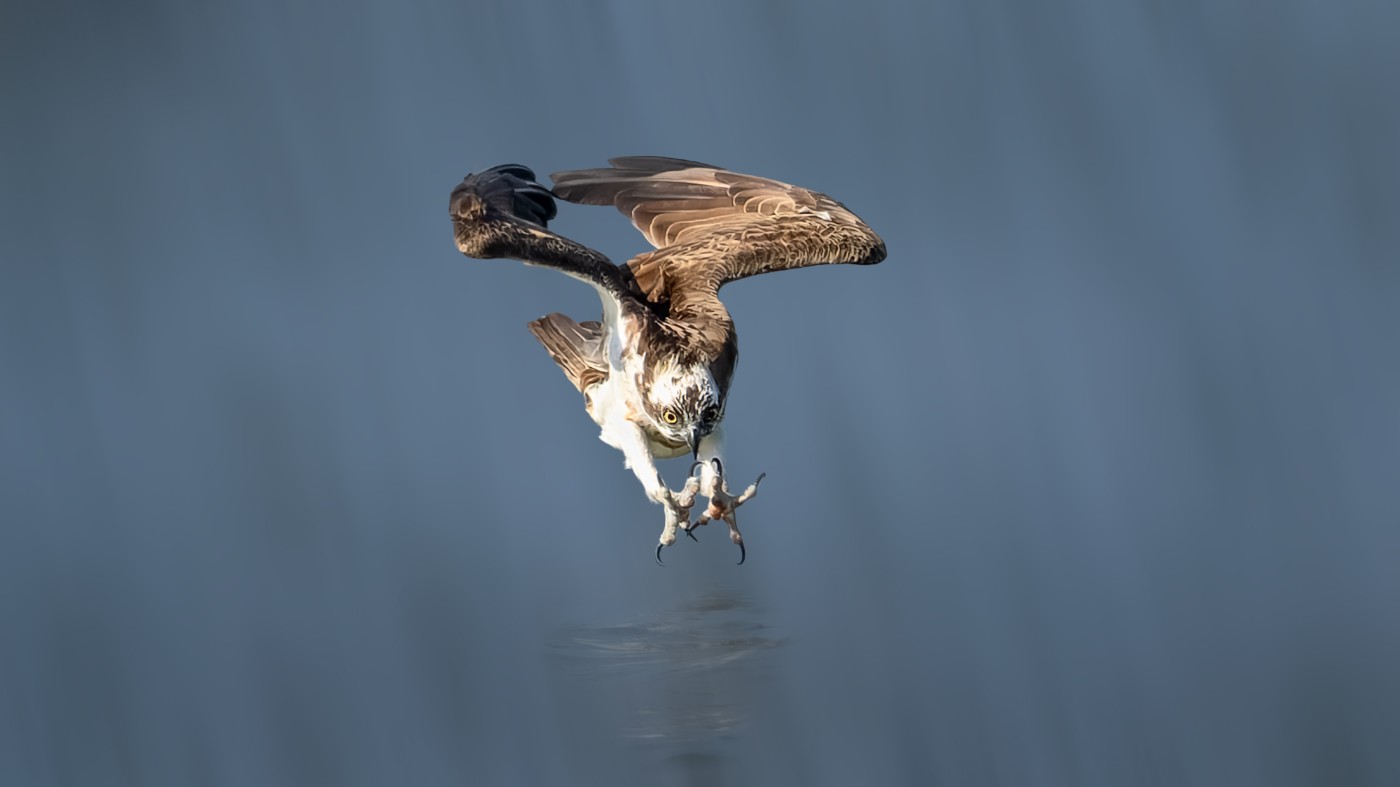 _1212903-ORF_DxO_DeepPRIMEXD ����2.jpg