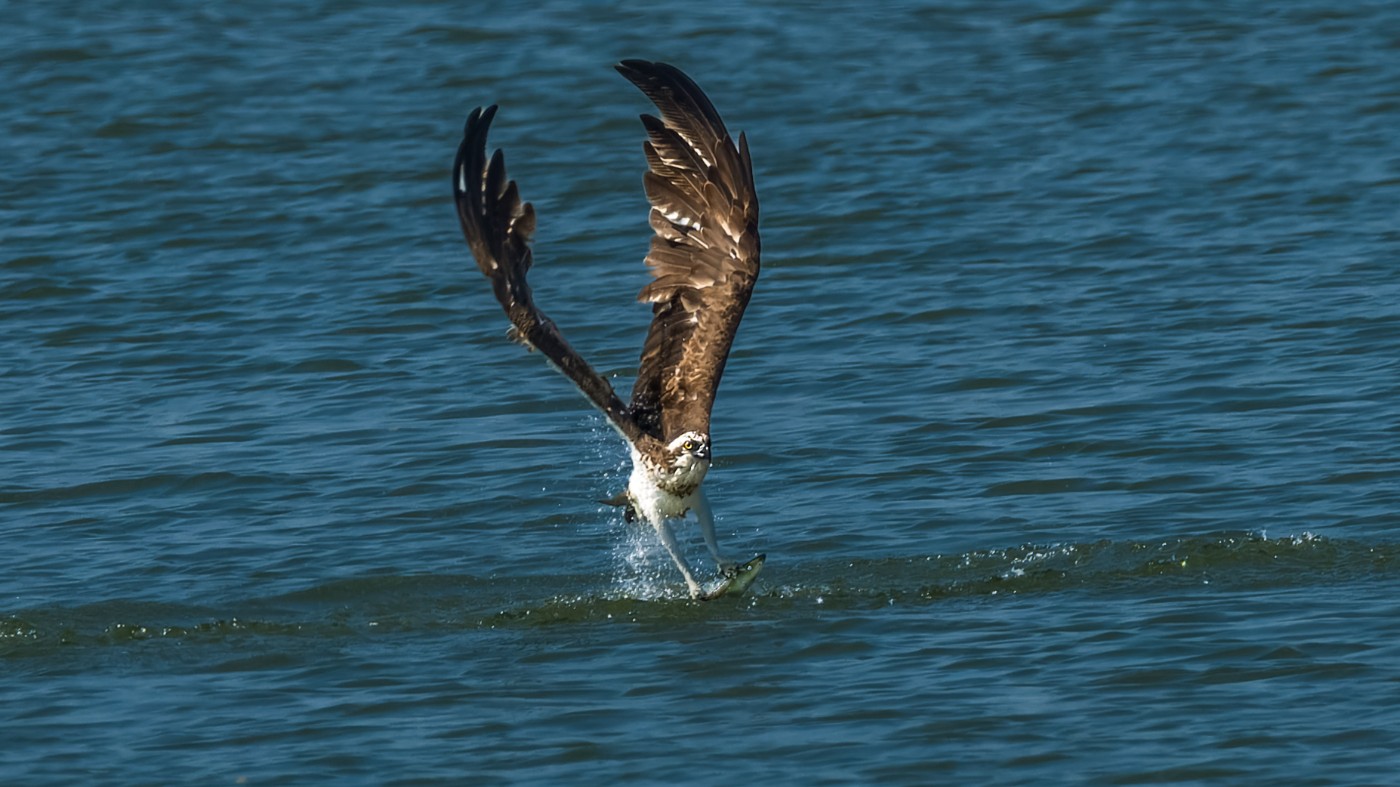 _1212511-ORF_DxO_DeepPRIMEXD ����.jpg