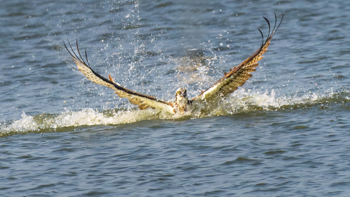 _1213158-ORF_DxO_DeepPRIMEXD ����.jpg