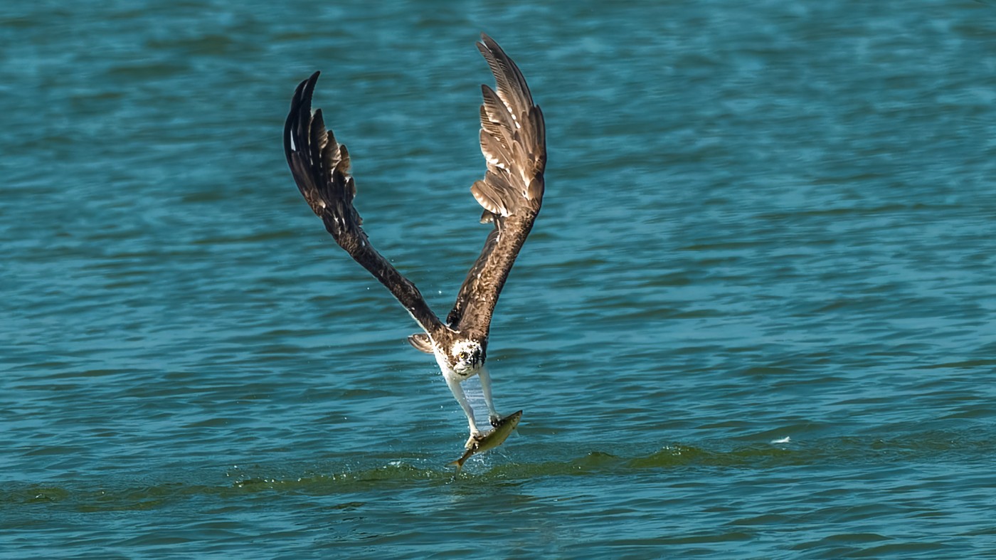 _1212519-ORF_DxO_DeepPRIMEXD ����.jpg