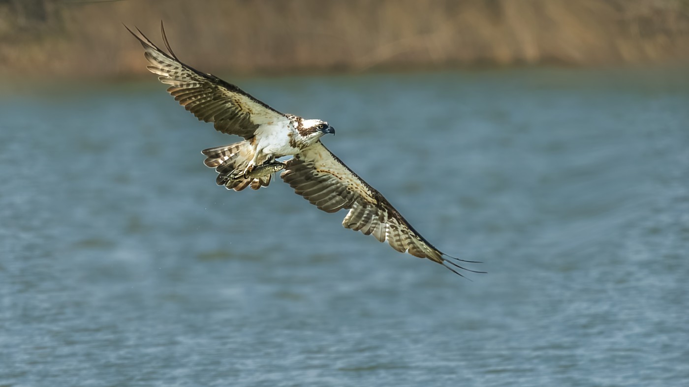 _1212570-ORF_DxO_DeepPRIMEXD ����.jpg