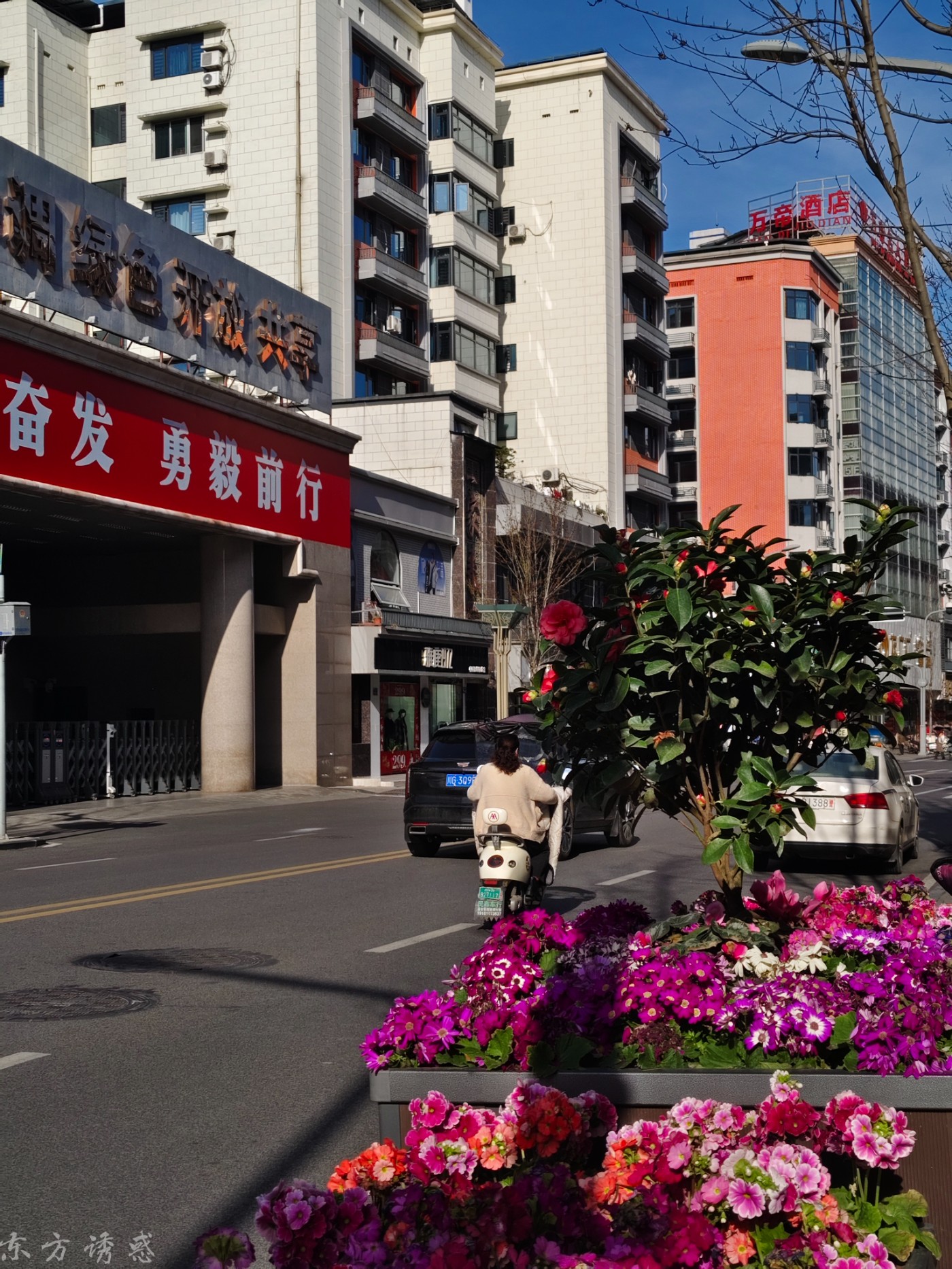IMG_20260325_090745.jpg