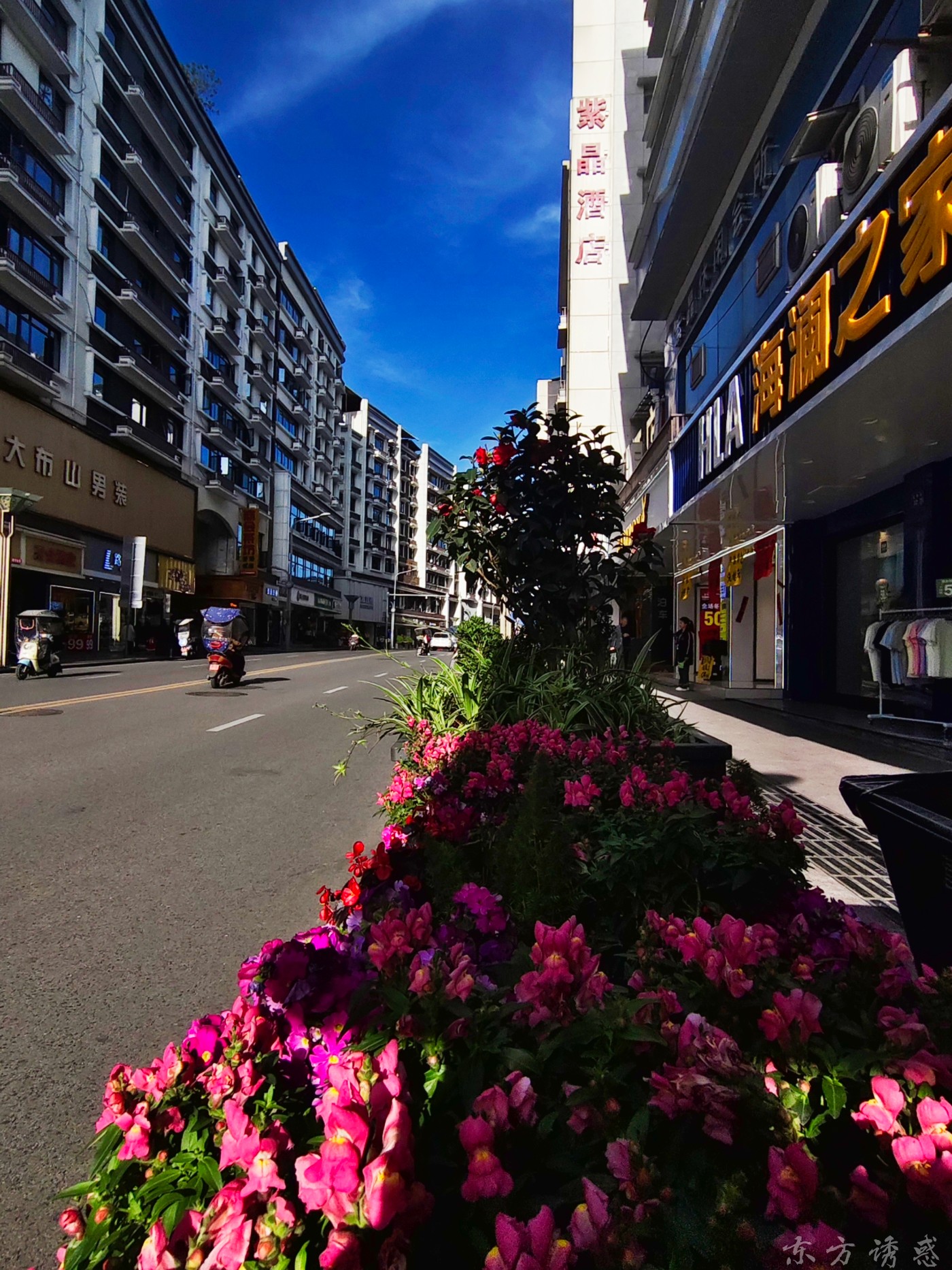 IMG_20260325_090324.jpg