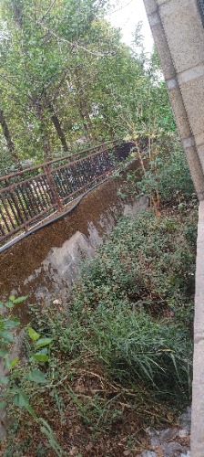 IMG20260426091007.jpg