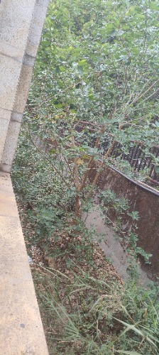 IMG20260426090908.jpg