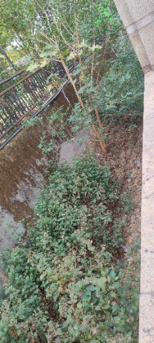 IMG20260426091027.jpg