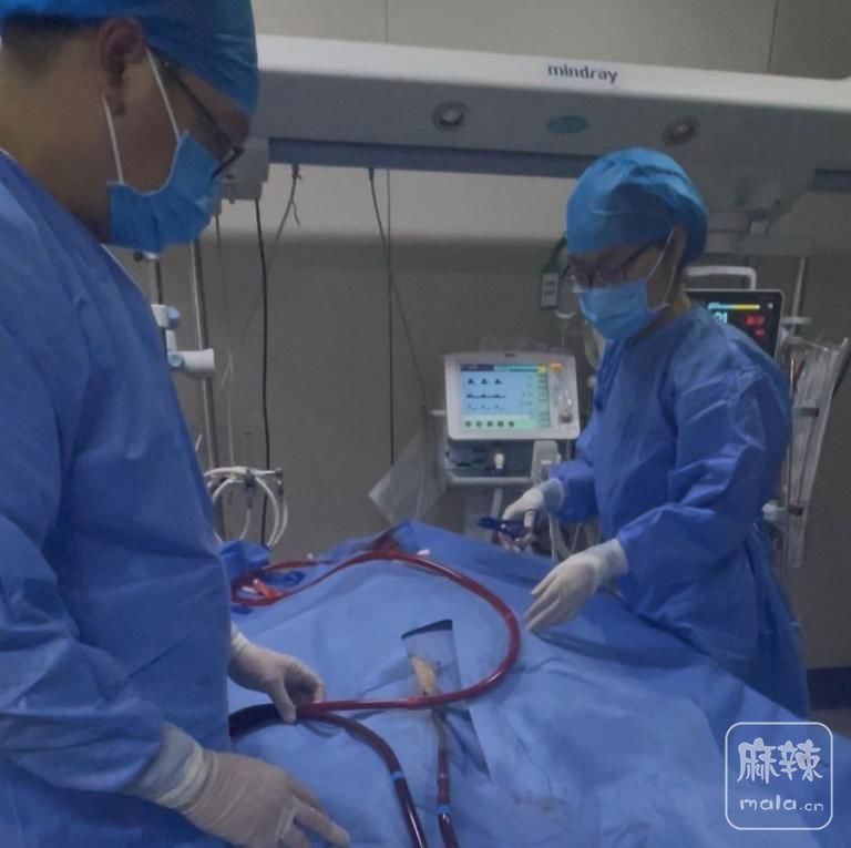 d52a2834349b033b323f19159360a0c2d739bd8e.jpeg@f_auto