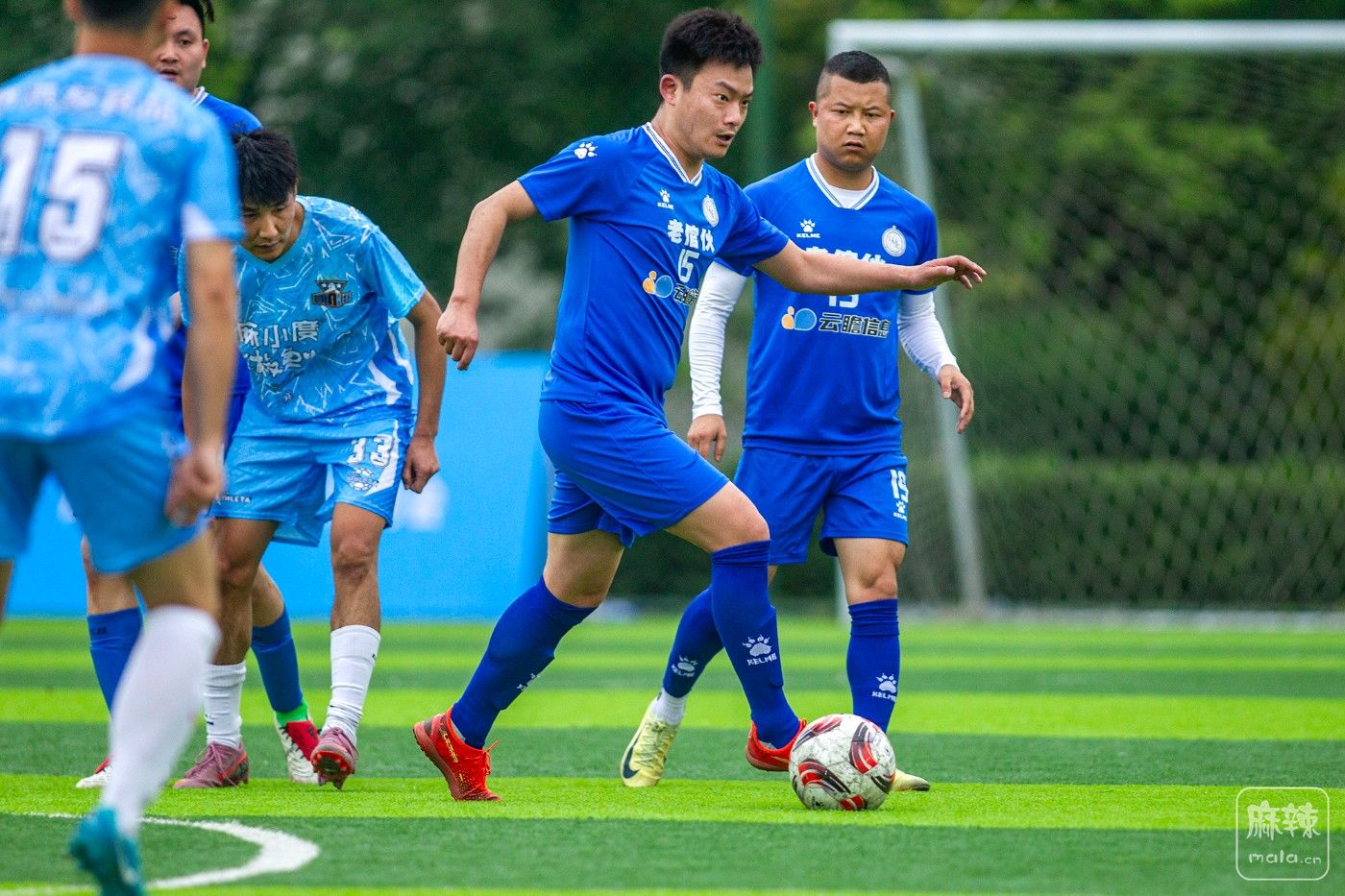 ���� (1).jpg