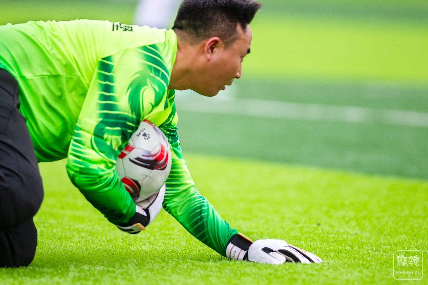 ���� (3).jpg