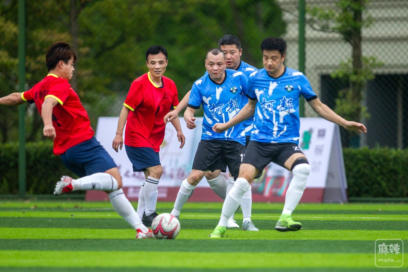 ���� (5).jpg