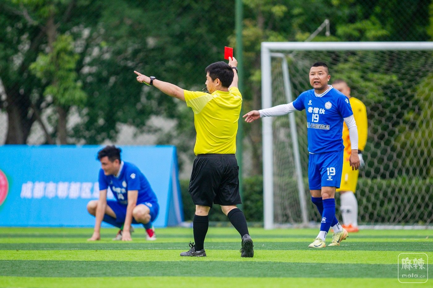 ���� (2).jpg