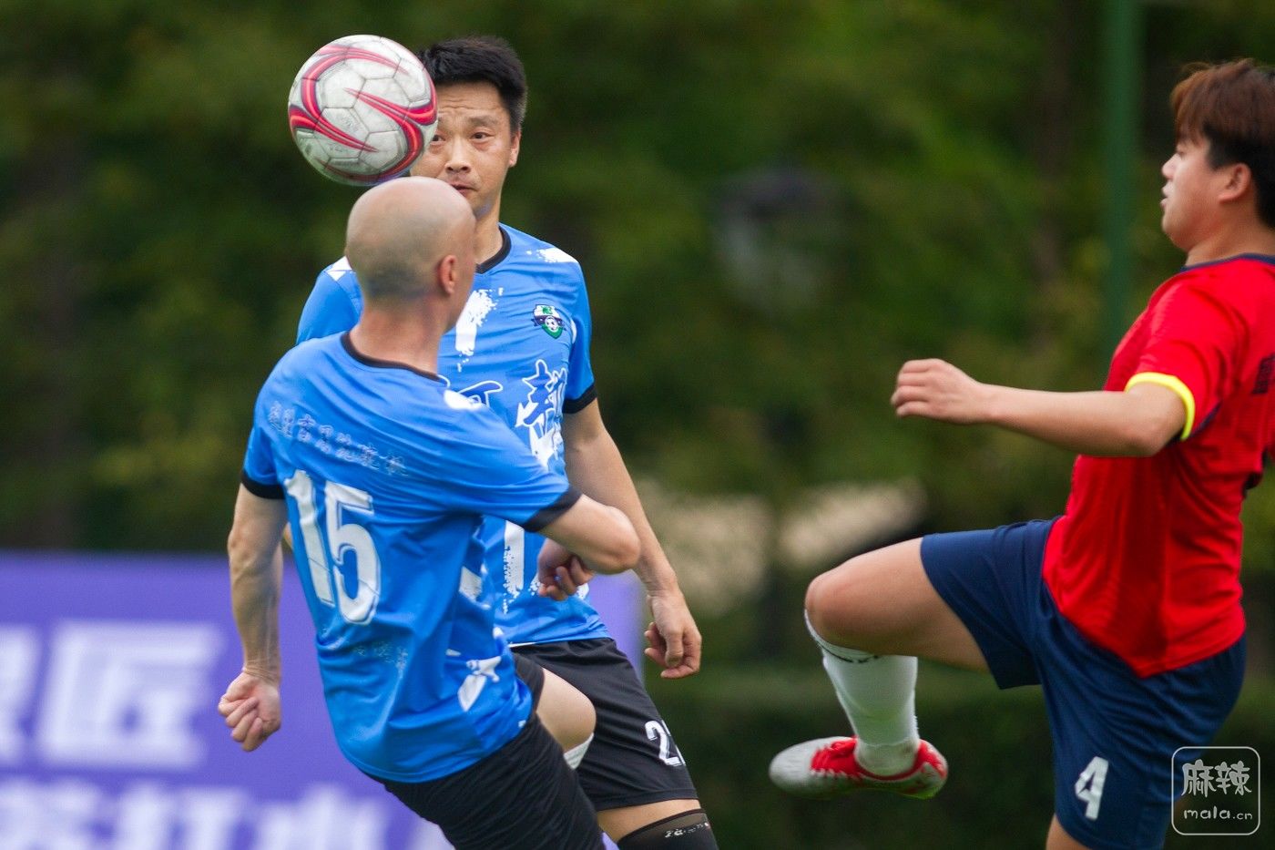 ���� (8).jpg