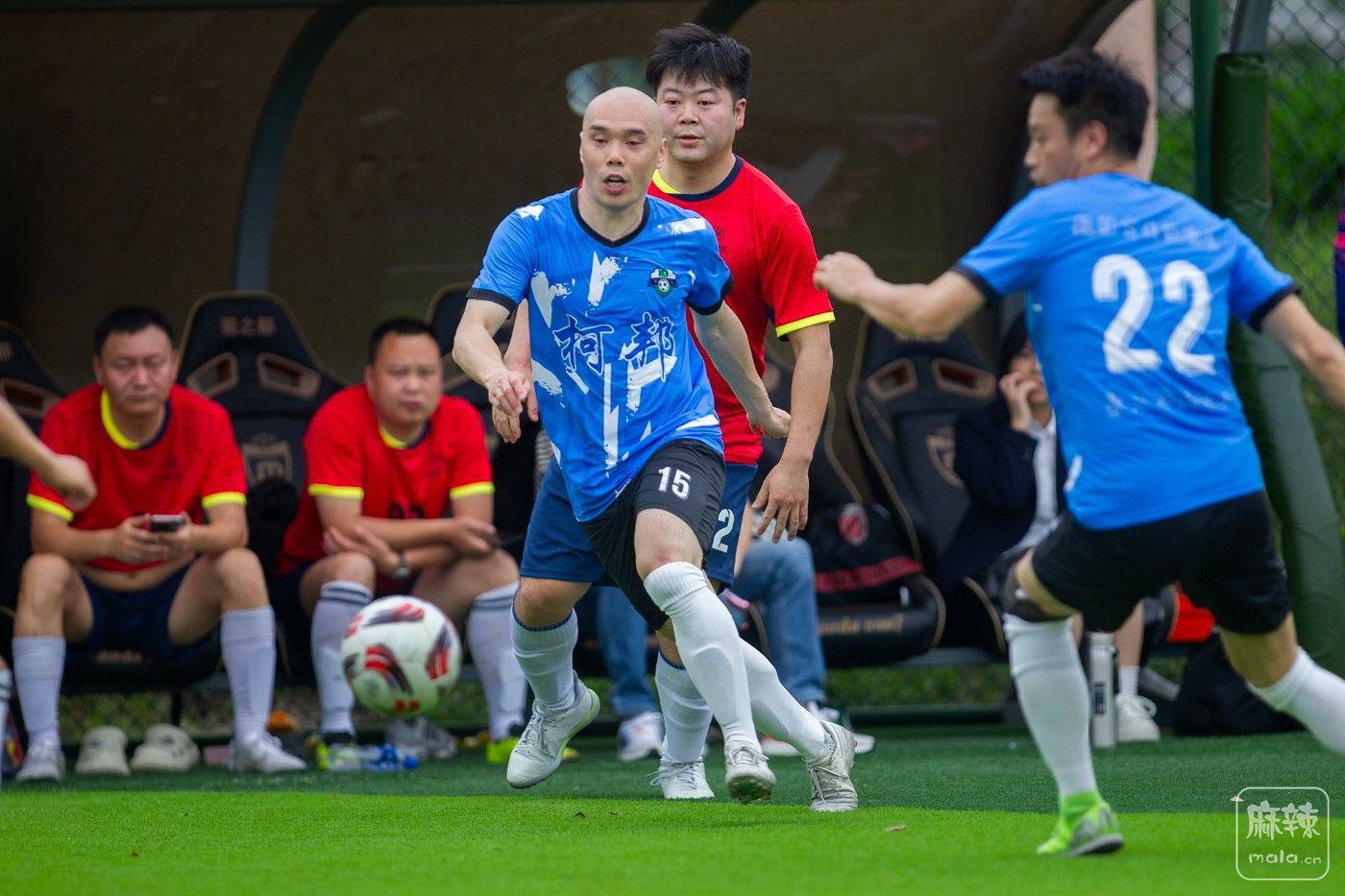 ���� (11).jpg