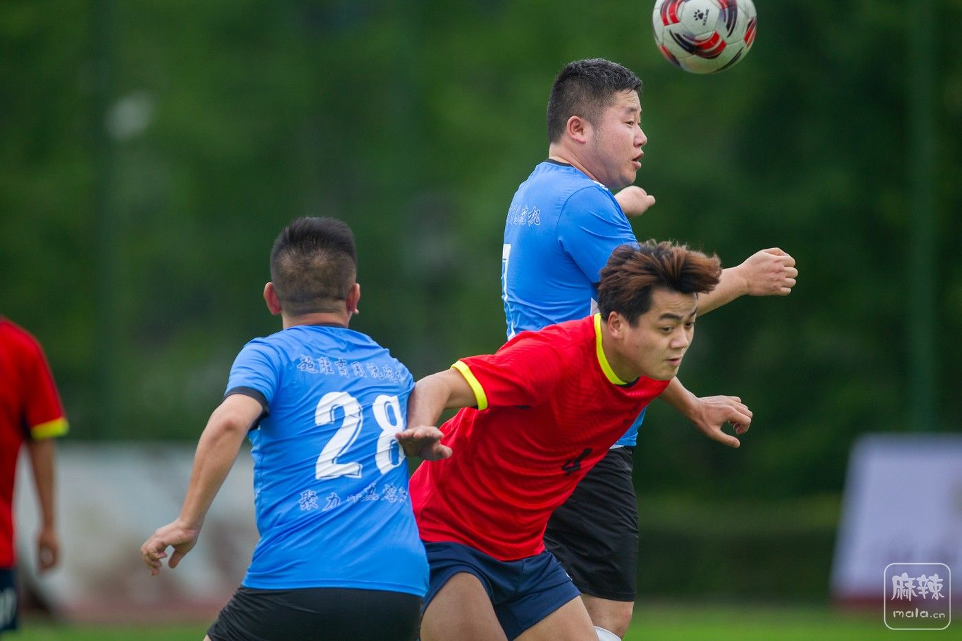 ���� (12).jpg