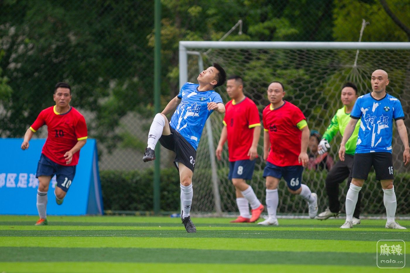 ���� (13).jpg