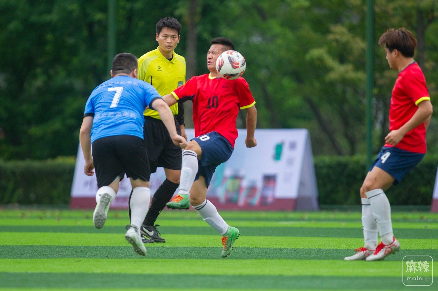 ���� (14).jpg