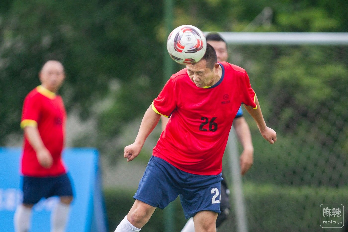 ���� (15).jpg