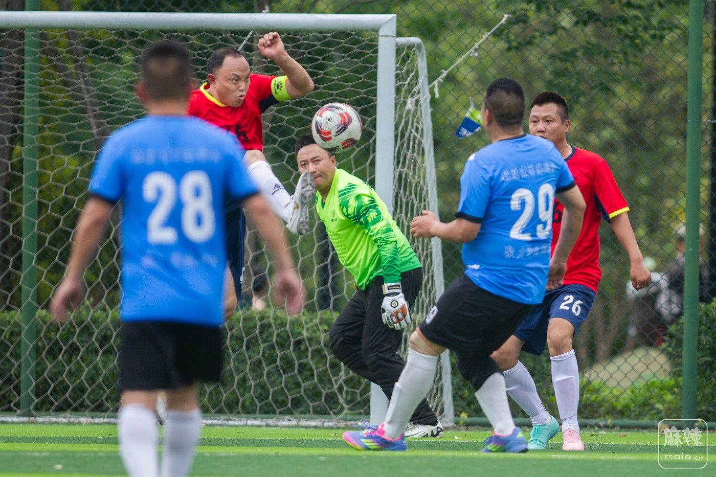 ���� (17).jpg