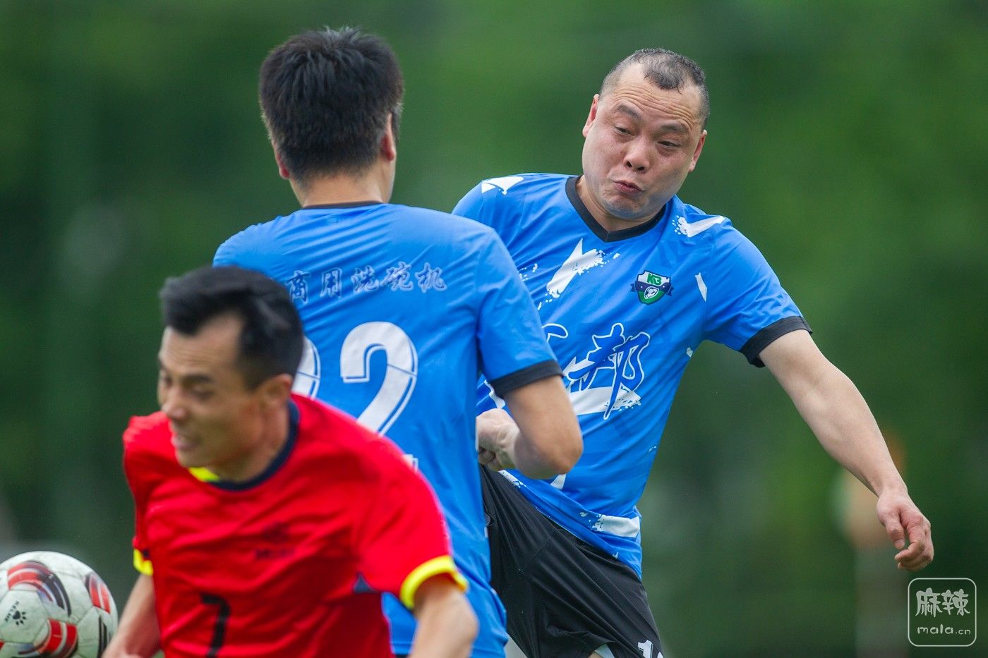 ���� (19).jpg