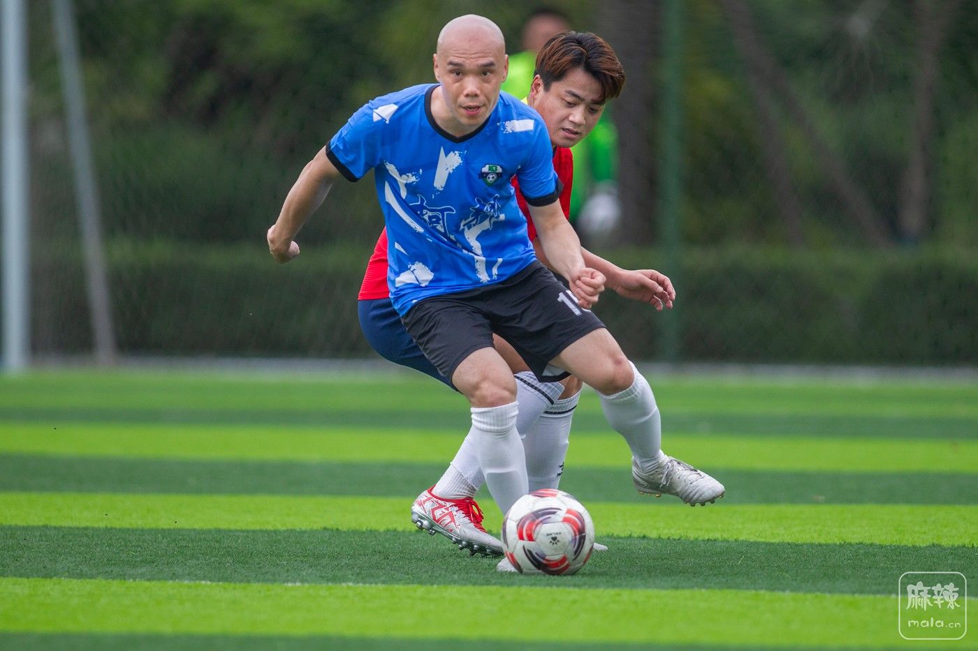 ���� (21).jpg