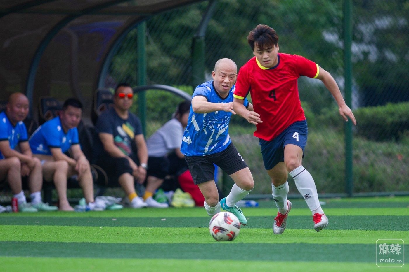 ���� (23).jpg