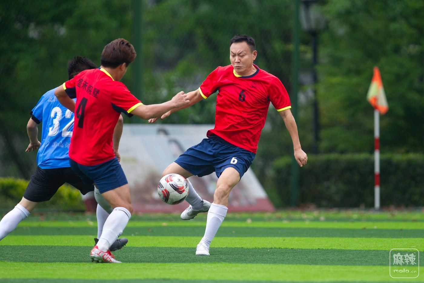 ���� (24).jpg