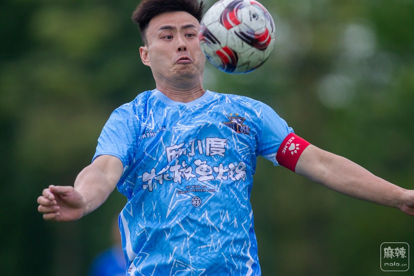 ���� (28).jpg