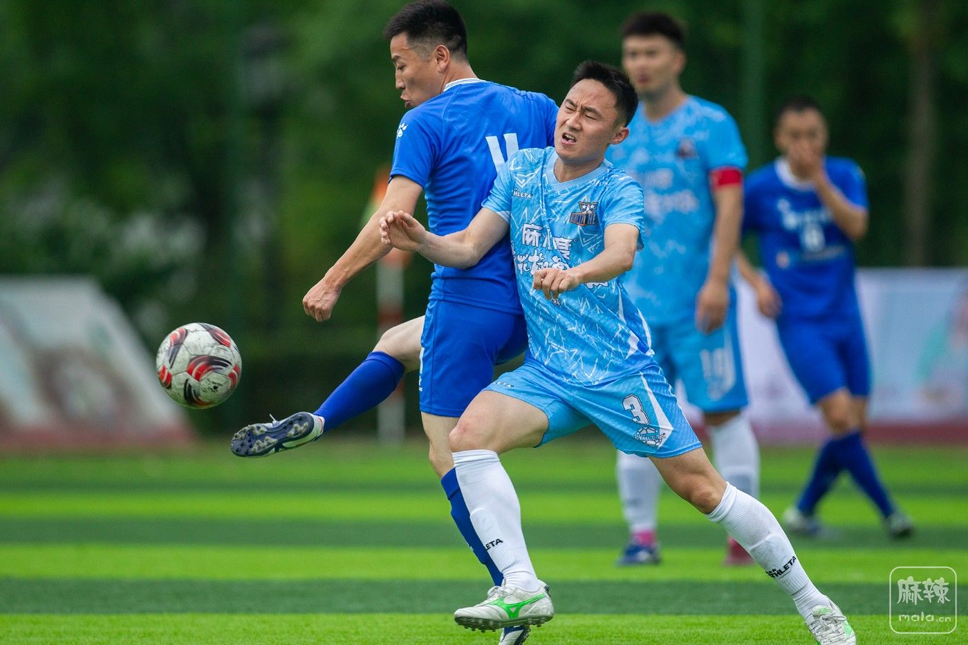 ���� (31).jpg