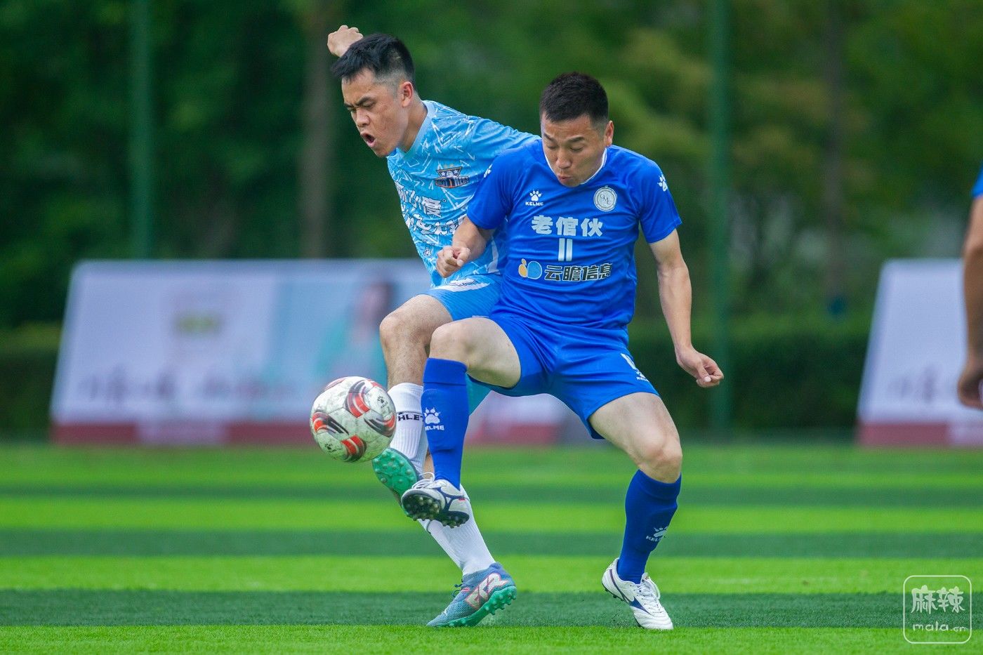 ���� (33).jpg