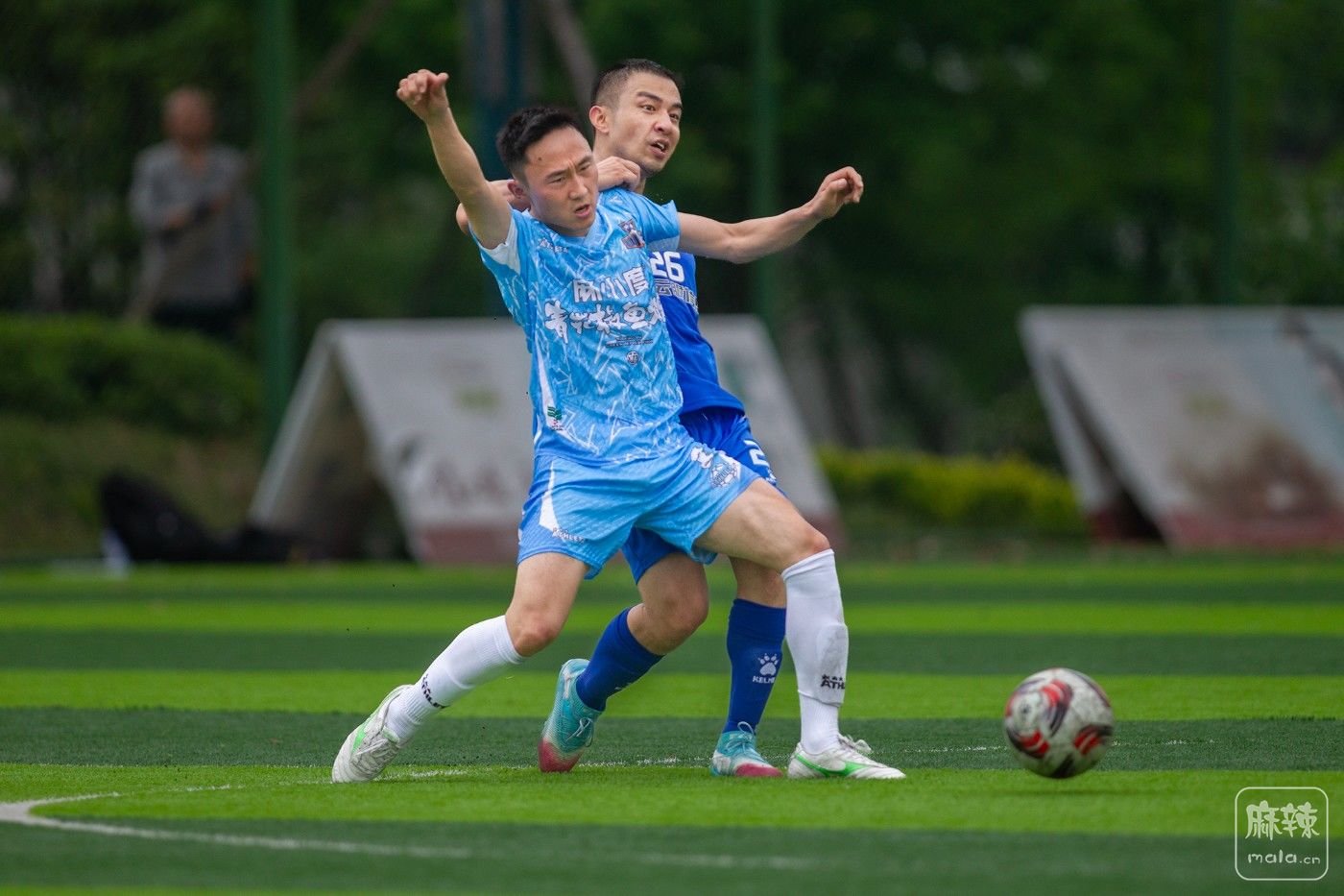 ���� (35).jpg