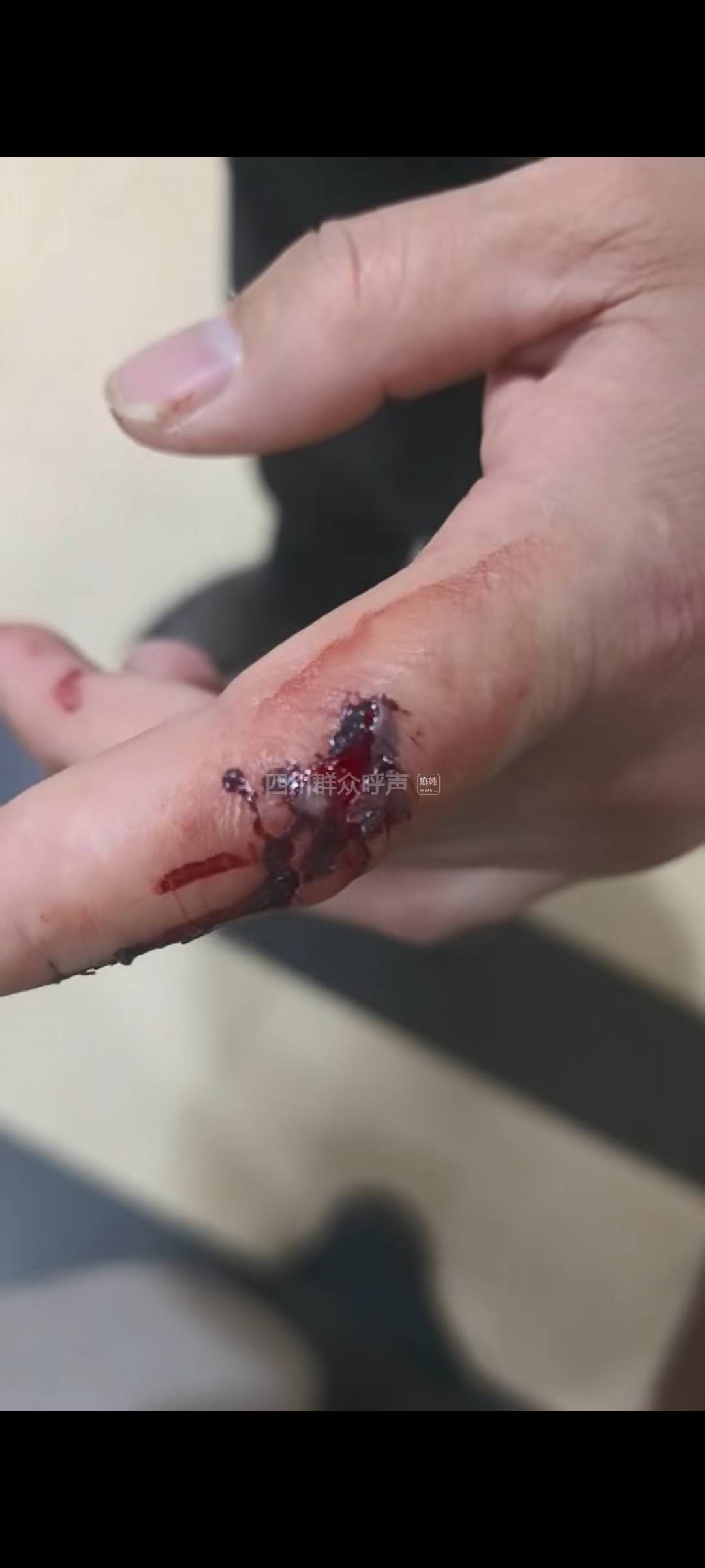 �㰲�з�����ͥΥ�潻���������������������ҵ����Υ��Υ��