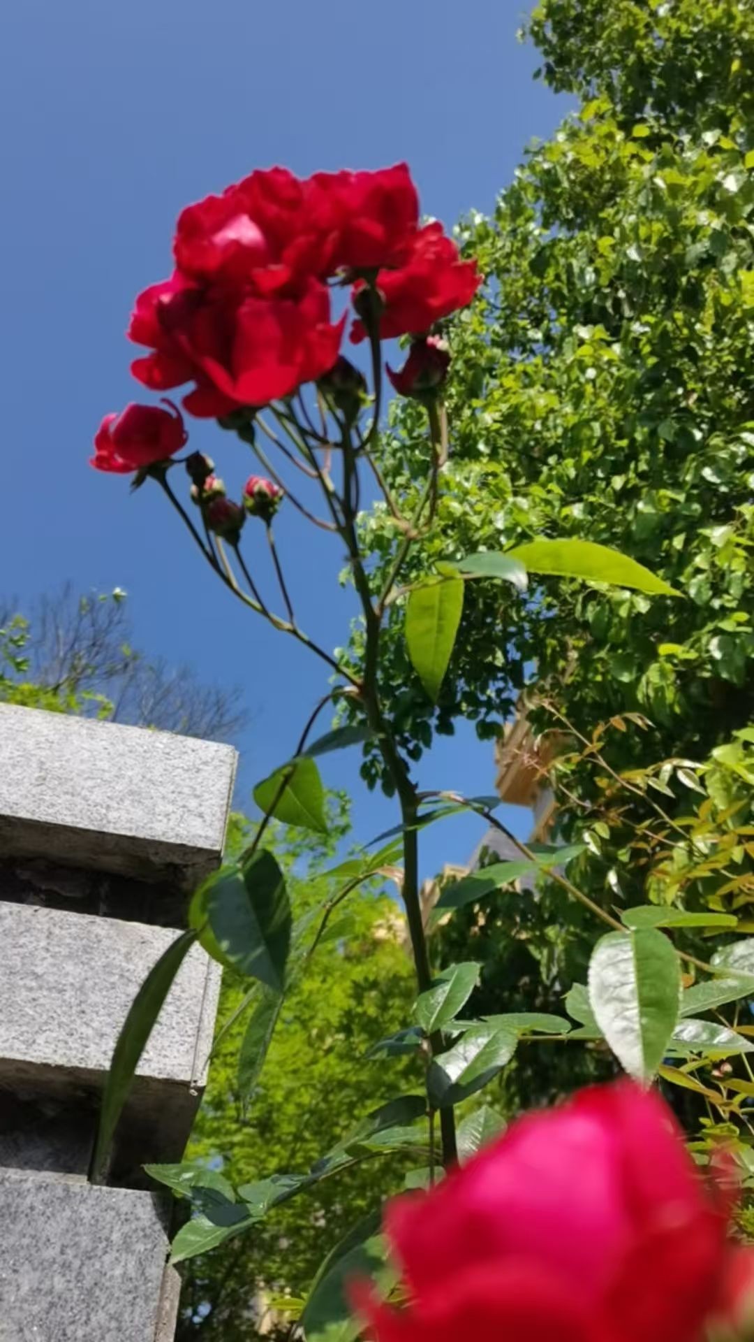 ΢��ͼƬ_20260428123316_116_3.jpg