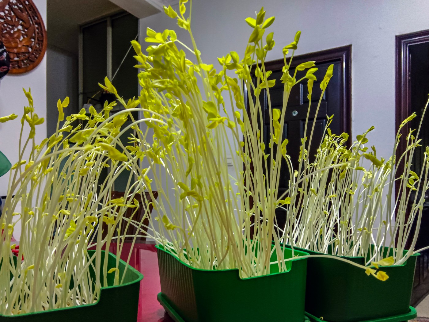 ��Ȼ����ѿ�������Ҳ��С�ˣ��ҡ�ʵ�顱�ˣ�