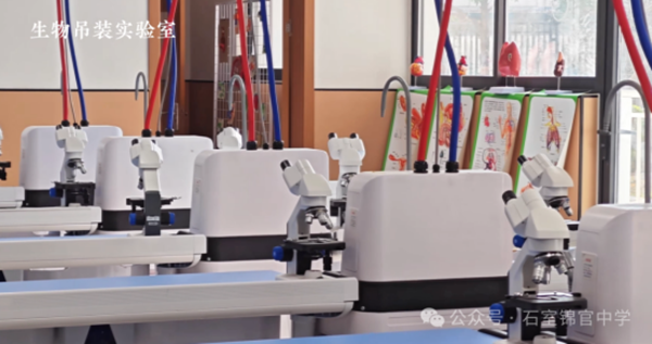 �½� DOCX �ĵ� (3)2696.png