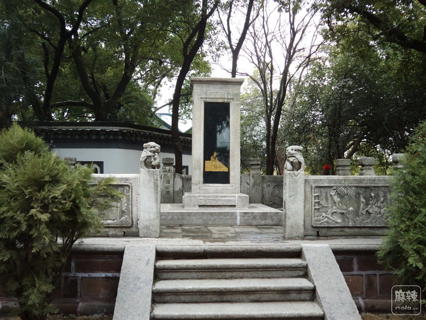 DSC09937.JPG