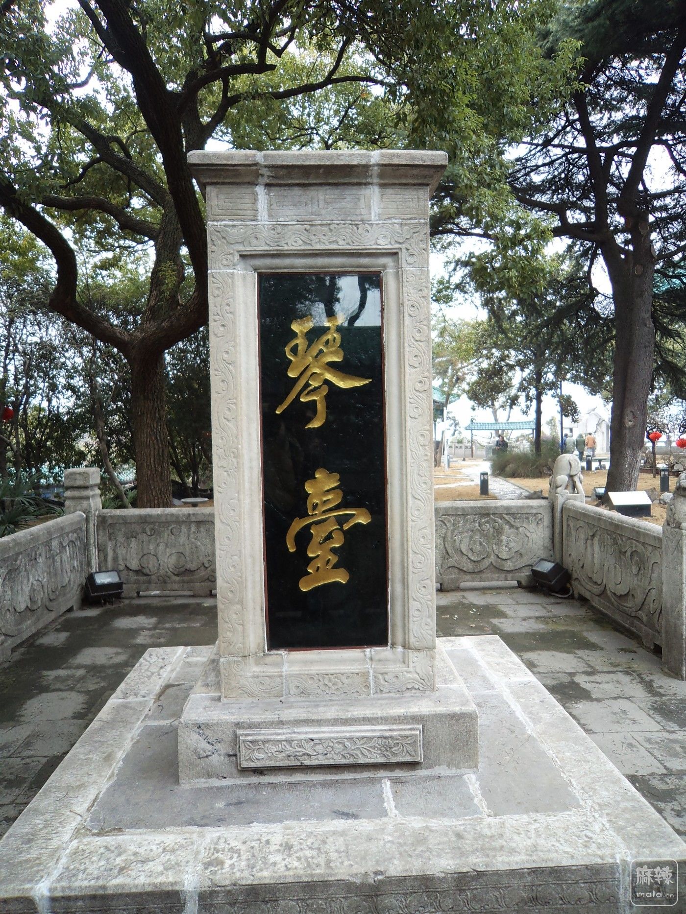 DSC09943.JPG