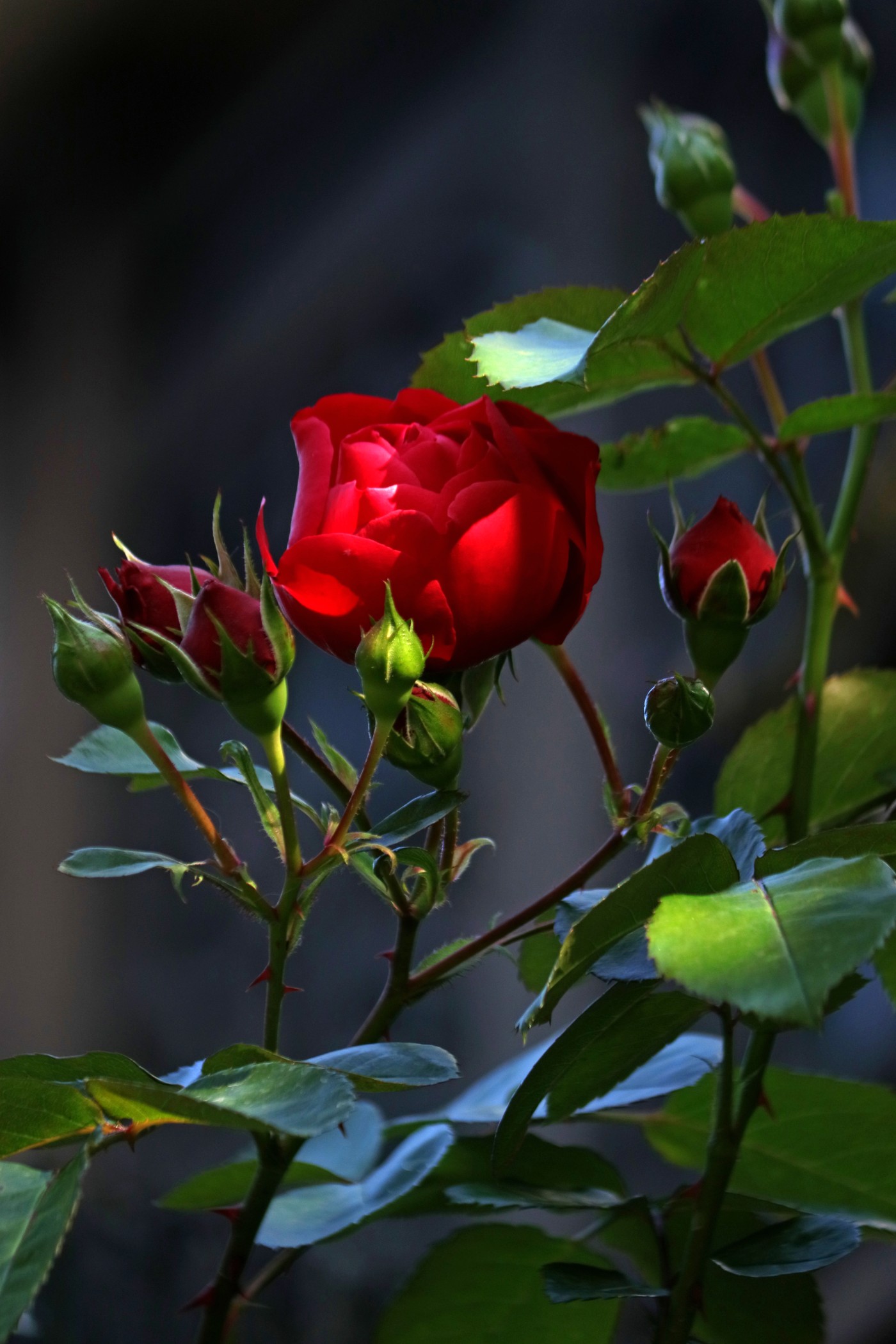 IMG_5884.JPG
