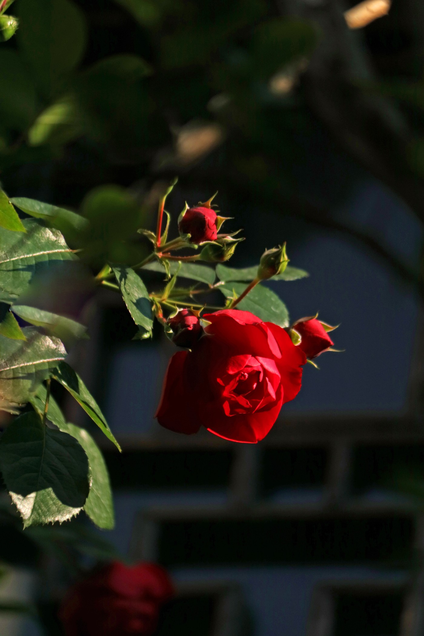 IMG_5894.jpg
